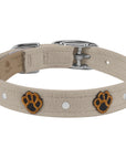 Embroidered Paws Collar
