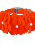 Spring Colors Tinkie's Garden Flower Collar