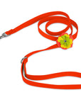 Citrus Flower Leash