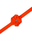 Spring Colors Tinkie's Garden Flower Leash