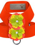 Citrus Flower Tinkie's Harness