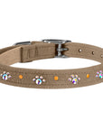Crystal Paws Collar
