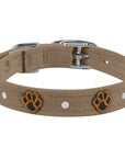 Embroidered Paws Collar
