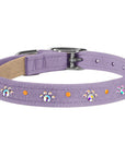 Crystal Paws Collar