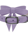 Tail Bow Collar