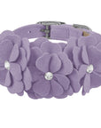 Tinkie's Garden Flower Collar