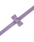 Aurora Borealis Crystal Stellar Big Bow Leash