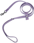 Aurora Borealis Crystal Stellar Big Bow Leash