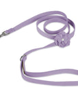 Tinkie's Garden Flower Leash