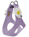 Large Daisy Step In Harness-Pretty Pastels