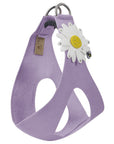 Large Daisy with AB Crystal Stellar Center Step In Harness-Pretty Pastels
