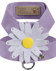 Large Daisy Tinkie Harness