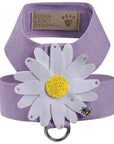 Large Daisy with AB Crystal Stellar Center Tinkie Harness