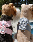 Special Occasion Flower Tinkie Harness