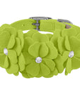 Tinkie's Garden Flower Collar