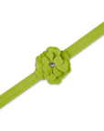 Spring Colors Tinkie's Garden Flower Leash