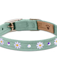 Small Daisy 1/2" Collar