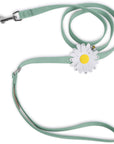 Large Daisy Leash