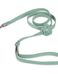 Tinkie's Garden Flower Leash