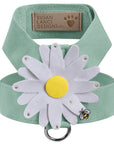 Large Daisy Tinkie Harness