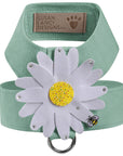 Large Daisy with AB Crystal Stellar Center Tinkie Harness
