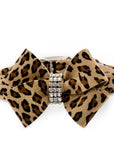 Cheetah Couture Nouveau Bow Collar