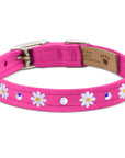 Small Daisy 1/2" Collar