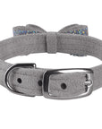 Aurora Borealis Crystal Stellar Big Bow Collar