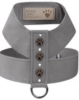 Embroidered Paws Tinkie Harness