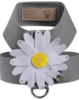 Large Daisy with AB Crystal Stellar Center Tinkie Harness