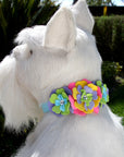 Fantasy Flower Collar