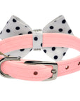 Polka Dot Nouveau Bow Collar