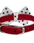 Polka Dot Nouveau Bow Collar