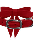 Tail Bow Collar