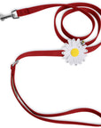 Large Daisy Leash