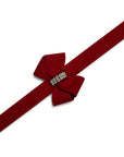 Nouveau Bow Leash