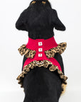 Cheetah Couture Pinafore Tinkie Harness