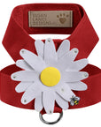Large Daisy Tinkie Harness