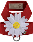 Large Daisy with AB Crystal Stellar Center Tinkie Harness