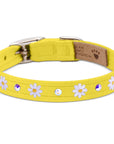 Small Daisy 1/2" Collar