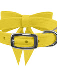 Tail Bow Collar