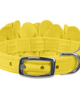 Tinkie's Garden Flower Collar