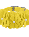 Tinkie's Garden Flower Collar