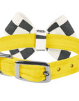 Windsor Check Nouveau Bow Collar