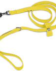 Big Bow Leash
