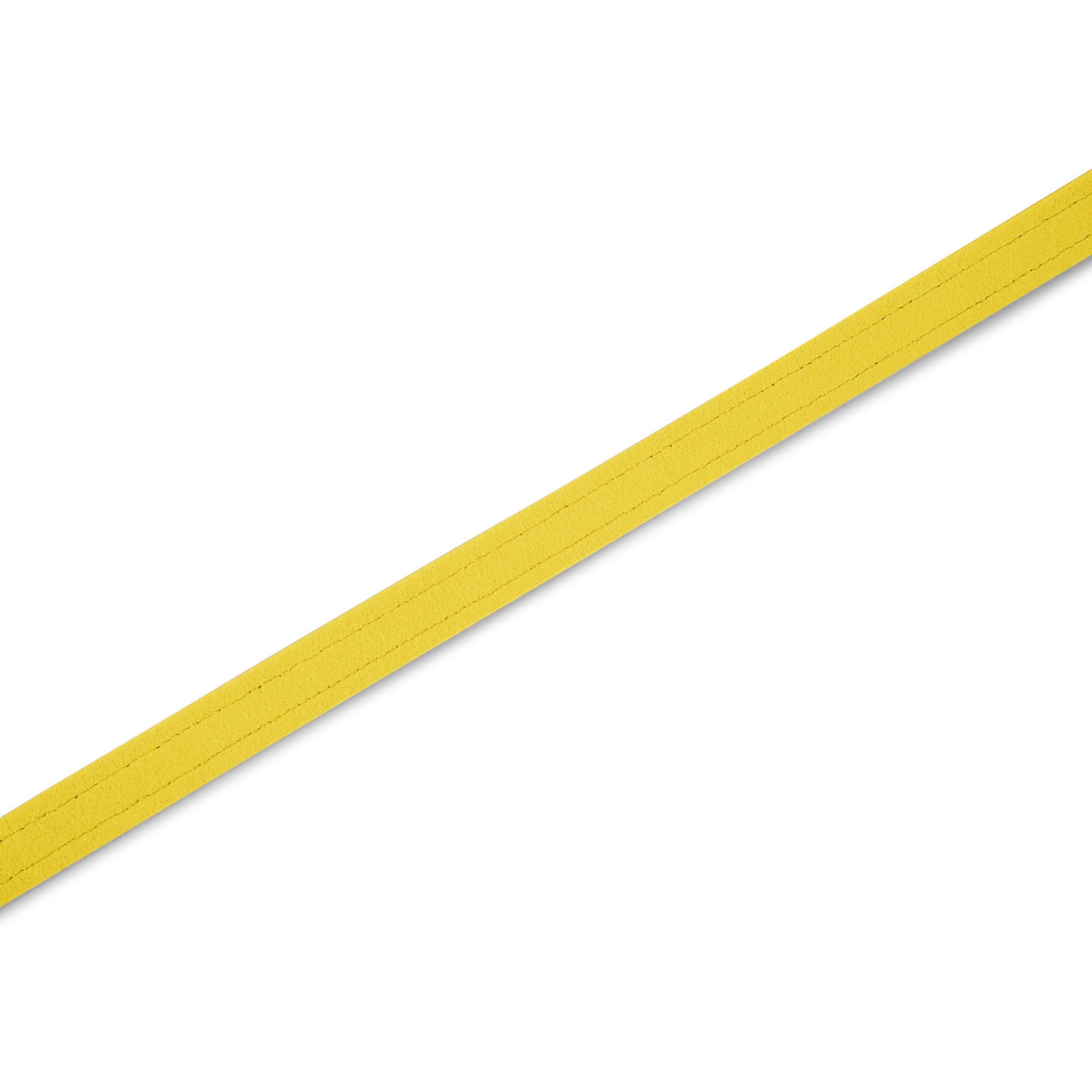Violet Solid Leash