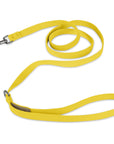 Sunshine Solid Leash