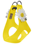 Large Daisy Step In Harness-Pretty Pastels