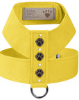 Embroidered Paws Tinkie Harness
