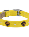 Embroidered Paws Collar